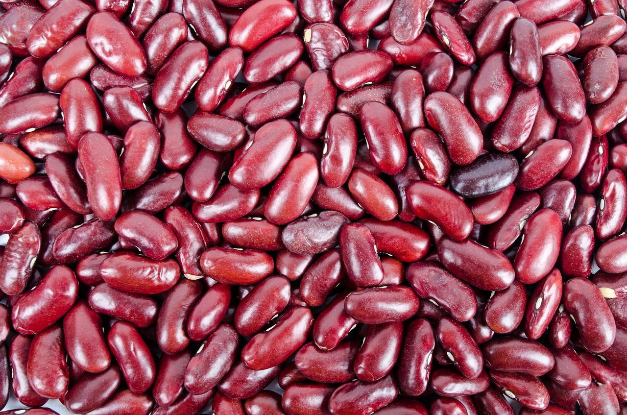 beans, kidney, pile-316592.jpg