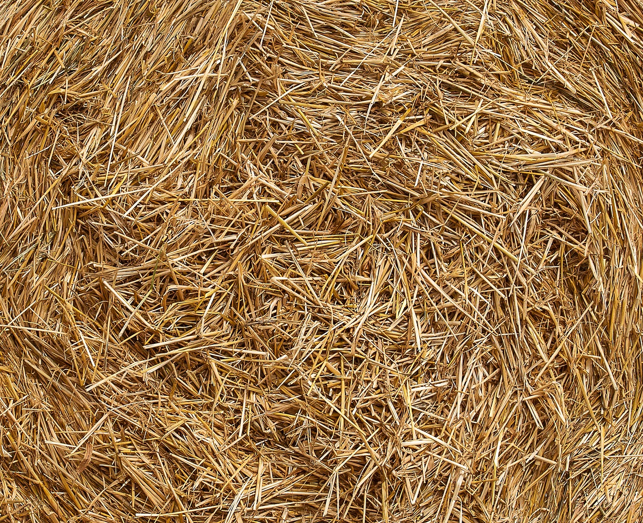 straw, agriculture, background-4327257.jpg