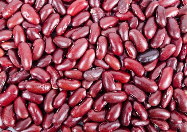 beans-kidney-pile-316592 beans-kidney-pile-316592